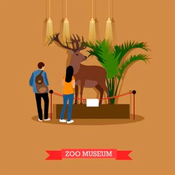 Vector illustration of stuffed deer and visitors in zoological museum Stock Illustration