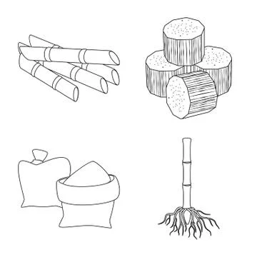 Vector illustration of sugar and field logo. Collection of sugar and plantation Stock Illustration