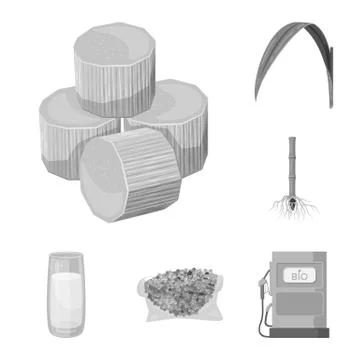 Vector illustration of sugarcane and cane sign. Set of sugarcane and field stock Stock Illustration