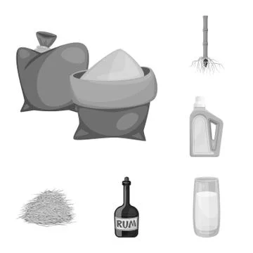 Vector illustration of sugarcane and cane sign. Set of sugarcane and field stock Stock Illustration