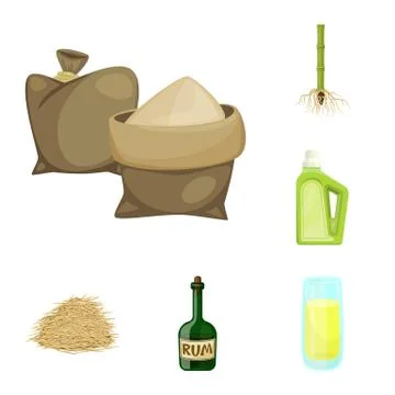 Vector illustration of sugarcane and cane symbol. Collection of sugarcane and Illustrazione stock