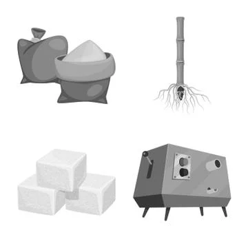 Vector illustration of sugarcane and cane symbol. Collection of sugarcane and Stock Illustration