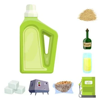 Vector illustration of sugarcane and cane symbol. Collection of sugarcane and Stock Illustration