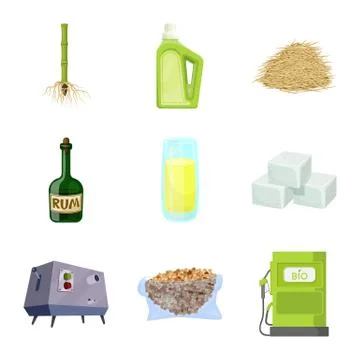 Vector illustration of sugarcane and cane logo. Set of sugarcane and field stock Stock Illustration