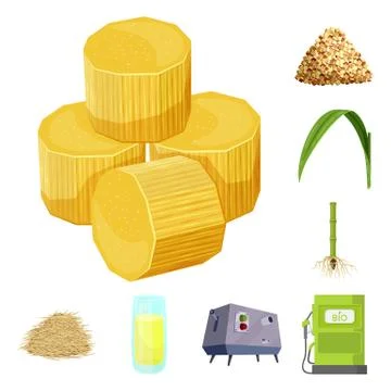 Vector illustration of sugarcane and cane symbol. Set of sugarcane and field Stock Illustration