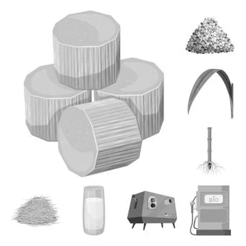 Vector illustration of sugarcane and cane icon. Set of sugarcane and field stock Stock Illustration