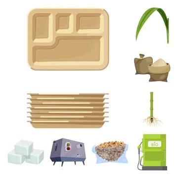 Vector illustration of sugarcane and cane icon. Set of sugarcane and field stock Stock Illustration