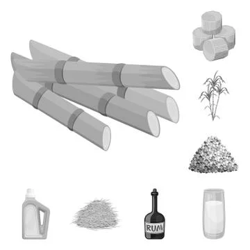 Vector illustration of sugarcane and cane icon. Set of sugarcane and field Illustrazione stock