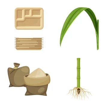Vector illustration of sugarcane and cane icon. Collection of sugarcane and Stock Illustration