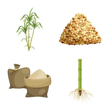 Vector illustration of sugarcane and cane sign. Set of sugarcane and field stock Stock Illustration