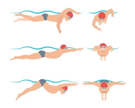 Vector illustration of swimming style scheme different swimmers man and woman in Stock Illustration