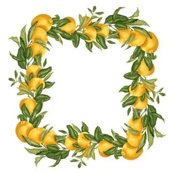 Vector illustration template square frame wreath with citrus fruit tree branc Stock Illustration