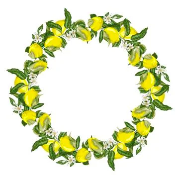 Vector illustration template wreath with lemon citrus fruit tree branch with Stock Illustration