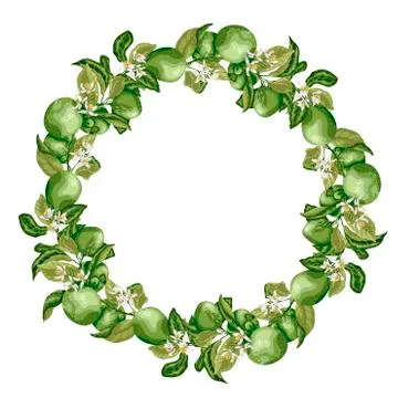 Vector illustration template wreath with lime citrus fruit tree branch with f Stock Illustration