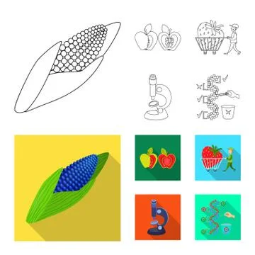 Vector illustration of test and synthetic sign. Set of test and laboratory stock 스톡 일러스트