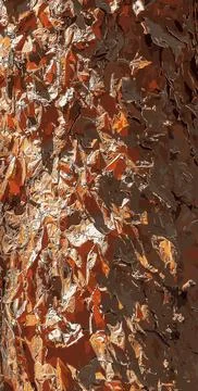 Vector illustration of Texture of brown cracked bark of a pine tree in the .. Stock Illustration