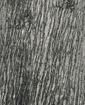 Vector illustration of Texture of Juniperus virginiana bark. Old juniper tr.. Illustrazione stock