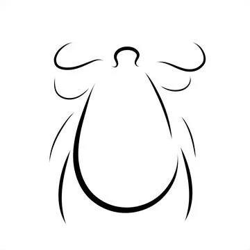 Vector illustration of tick painted with simple lines. Symbol of insect and p Stock-Illustration