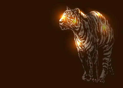 Vector illustration of a tiger on a dark background Stock Illustration