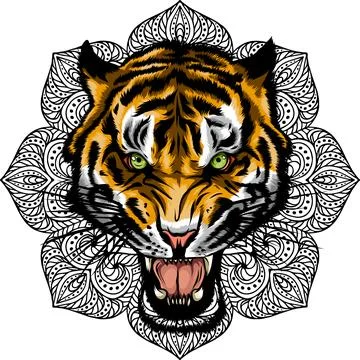 Vector illustration of tiger head with mandala. Illustrazione stock