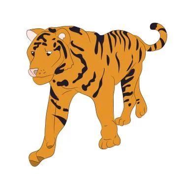 Vector illustration of a tiger that stands, drawing, vector Stock Illustration