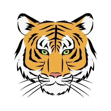 Vector illustration of a tiger's face facing forward. Stock Illustration