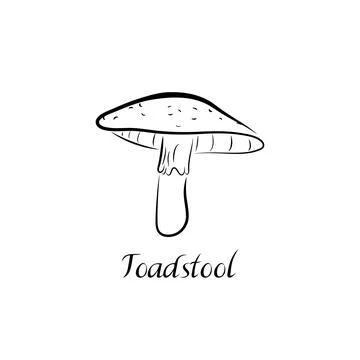Vector illustration of toadstool. Stock Illustration