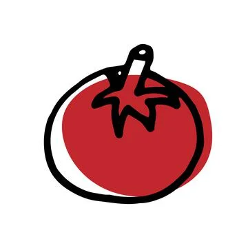 Vector illustration of tomato in doodle style Stock Illustration