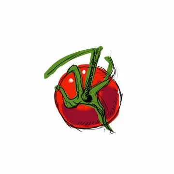 Vector illustration of tomato on a white background Illustrazione stock