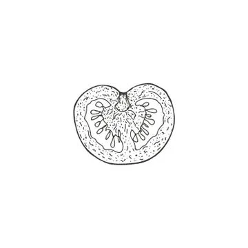 Vector illustration of tomatoes drawn by hand. Isolate the tomatoes and cut them Stock Illustration