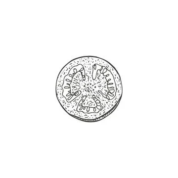 Vector illustration of tomatoes drawn by hand. Isolate the tomatoes and cut them Stock Illustration