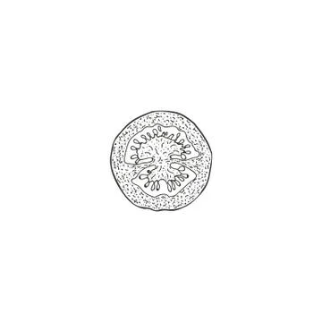 Vector illustration of tomatoes drawn by hand. Isolate the tomatoes and cut them Stock Illustration