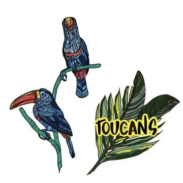 Vector illustration with toucans on white background. Stock Illustration