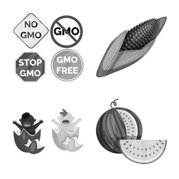 Vector illustration of transgenic and organic icon. Set of transgenic and Stock Illustration