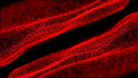 Vector illustration. Trapcode Form Glowing Dots Background. Red dots partic.. 스톡 일러스트