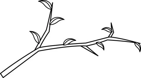Vector illustration of a tree branch, a broken branch, a wooden knot with l.. Stock Illustration