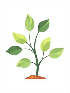Vector illustration of a Tree Stock Illustration