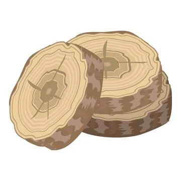 Vector illustration of tree rings and crosssection Stock Illustration