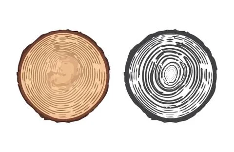Vector illustration of tree rings. Stock Illustration