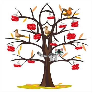 Vector illustration tree rowanberry by late autumn Stock Illustration