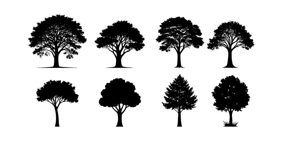 Vector illustration of tree silhouette Stock Illustration