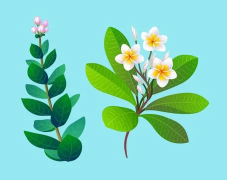 Vector illustration of tropical plants. Stock Illustration