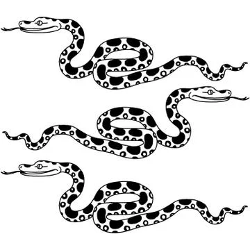 Vector illustration of tropical snake Illustrazione stock