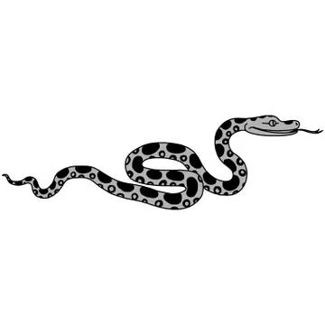 Vector illustration of tropical snake 스톡 일러스트