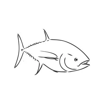Vector illustration of tuna. Vector illustration can be used for creating log Stock Illustration