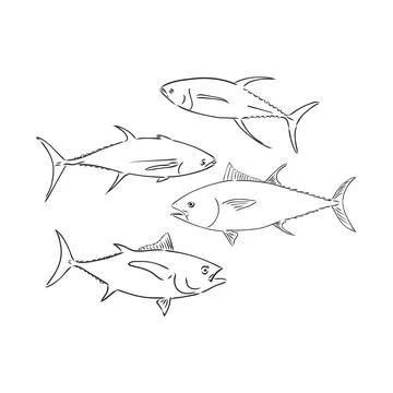Vector illustration of tuna. Vector illustration can be used for creating log Stock Illustration