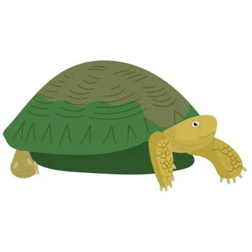 Vector illustration of a turtle. Stock Illustration