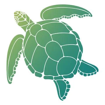 Vector illustration of a turtle Stock Illustration
