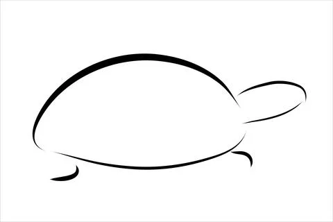 Vector illustration of turtle painted with simple lines. Symbol of reptile an Illustrazione stock