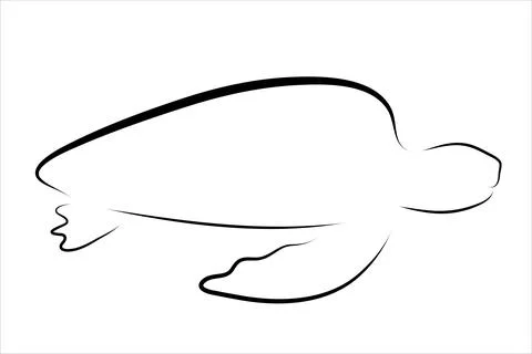 Vector illustration of turtle painted with simple lines. Symbol of sea animal Stock Illustration